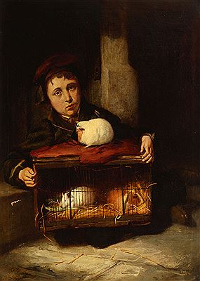 Portrait of a boy with guinea pigs in a stable