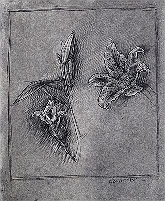 Study of lilies by Tom Carr - Auction record, sale price, and art valuation. Compare with similar artists and explore comparable artworks.