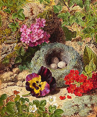 A bird’s nest, pansy and Alpine primroses on a mossy bank
