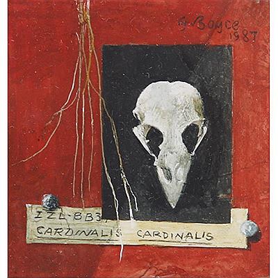 Cardinalis, bird skull by Gerald G Boyce - Auction record, sale price, and art valuation. Compare with similar artists and explore comparable artworks.