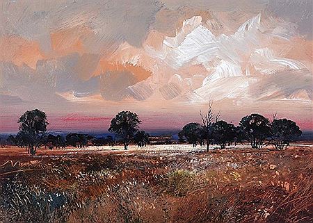 Extensive Landscape
