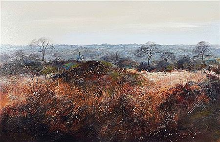 Bushveld Landscape