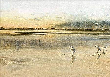 Lagoon with White Egrets