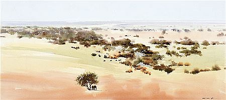 Elephants Looking for Water