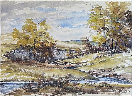 A colorful fall landscape