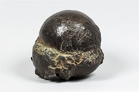 Sphère by Anita Tullio - Auction record, sale price, and art valuation. Compare with similar artists and explore comparable artworks.