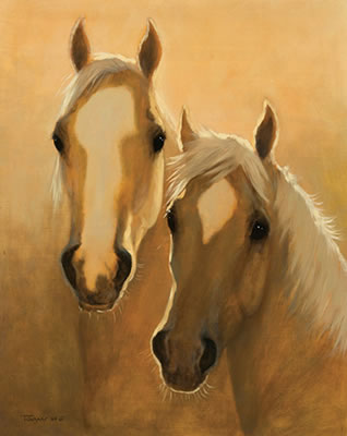 Sunshine Horses