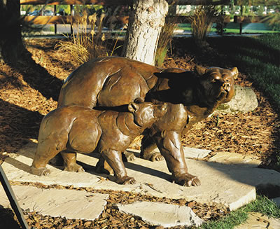 Sow and Cub