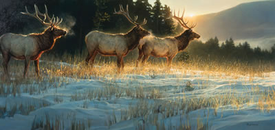 Elk Ridge
