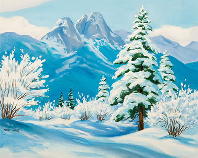Pine Tree in Snow