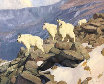 Mountaineers