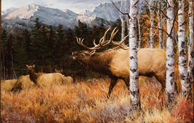 Autumn Elk