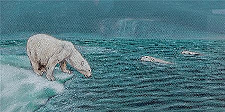 Polar Bears