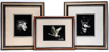 Alderson Magee - artist photo for art wanted listing (Lorton, VA)