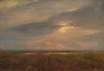 Plowed Fields