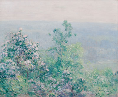 Connecticut Laurel