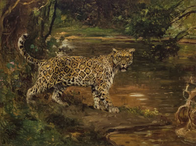 Jaguar by A River