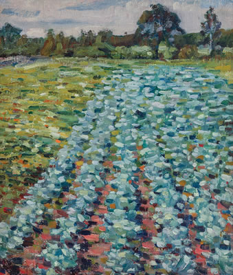 Open Field