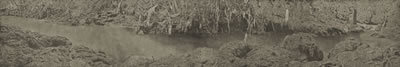TAK BERAKAR, TAK BERPUCUK, PAINTING #09 (NO ROOTS, NO SHOOTS, PAINTING #09)