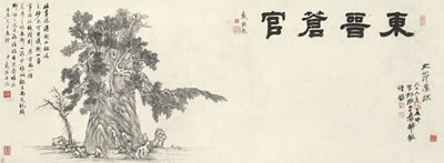 ANCIENT PINE