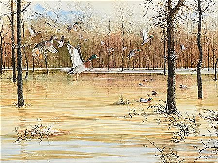 "Mallard Ducks in Flight"
