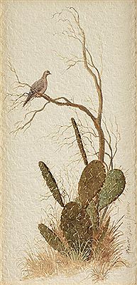 A Dove on a Branch above a Cactus