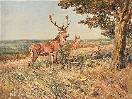 "A Stag and Three Doe"