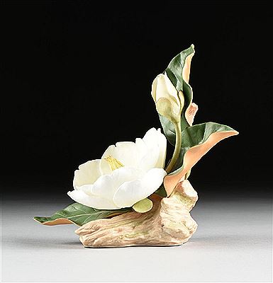 Magnolia Grandiflora; American Express, Miss Liberty Rose AND Magnolia Grandiflora (3)