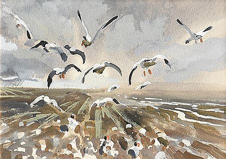 Sketch for 532 Flight of Snows