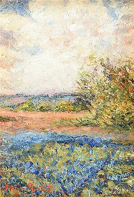 Texas Bluebonnets