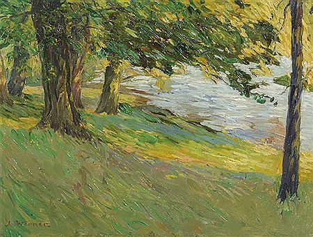 Sommerliche Waldlandschaft am Fluss.