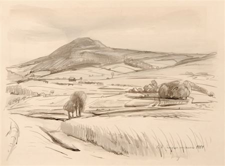 Hügelige Landschaft (Erzgebirge ?).