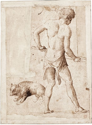 ECTO: A MALE NUDE SEEN FROM BEHIND WITH A SMALL BEAR VERSO: VARIOUS STUDIES: PUTTO, A FANTASTICAL CREATURE, STUDY OF A OLD MAN, A HEAD IN PROFILE AND STUDY OF LEGS