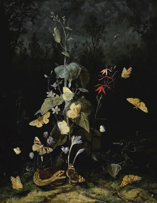 STILL LIFE OF WILD FLOWERS, INCLUDING CYCLAMEN, CROCUS, DELPHINIUM, WITH A SNAKE AND BUTTERFLIES