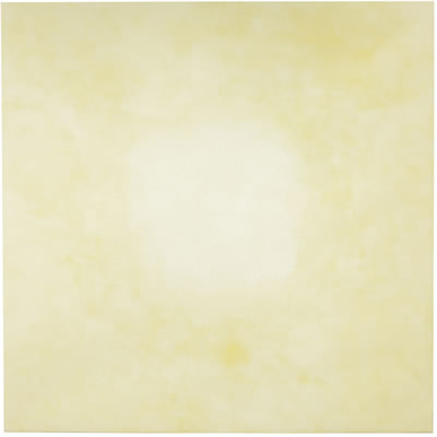 PENUMBRA by Houshiary Shirazeh - Auction record, sale price, and art valuation. Compare with similar artists and explore comparable artworks.