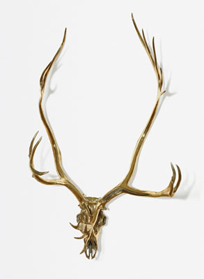 CARIBOU SKULL