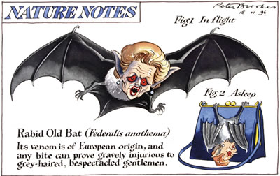 ‘RABID OLD BAT’ by Peter Brookes - Auction record, sale price, and art valuation. Compare with similar artists and explore comparable artworks.