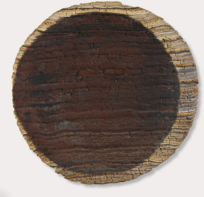 LARGE WALL PLATE