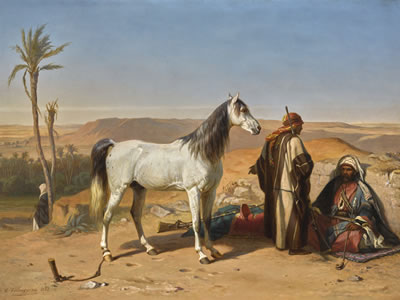 AN ARABIAN IN THE DESERT