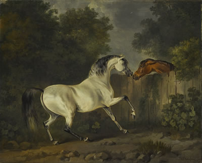 TWO HORSES BY A FENCE