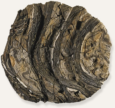 WALL PLATE