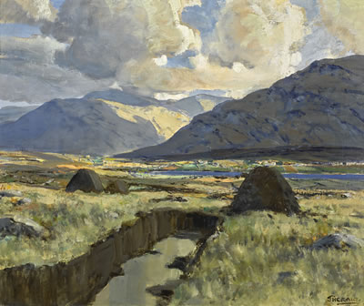 IN COUNTY MAYO