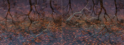 Fish at Dusk (diptych) by Lin Onus - Auction record, sale price, and art valuation. Compare with similar artists and explore comparable artworks.