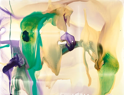 Sample artwork by Dale Frank (Born 1959), known for painting - View similar artists and auction records