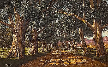 An Avenue of Gumtrees
