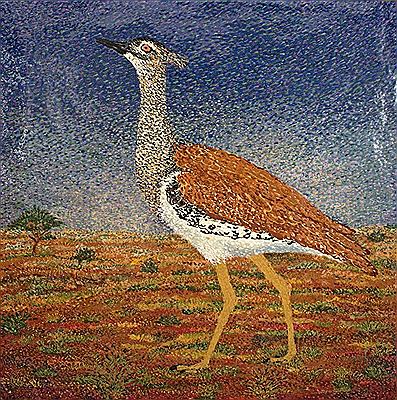 Kori Bustard