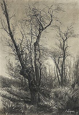 Bosque. 1877