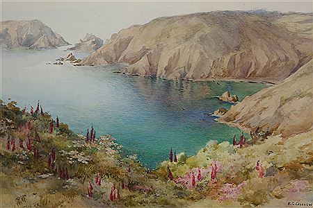 SARK COASTAL SCENE