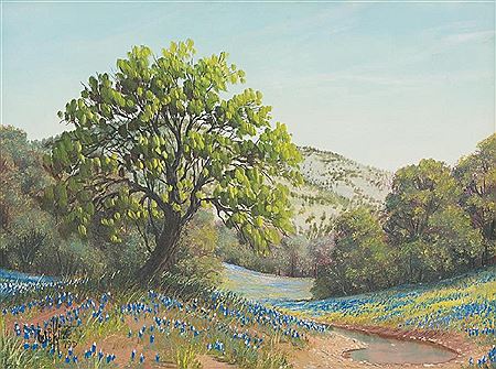 Bluebonnets