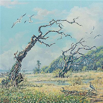 "Withered Oaks"